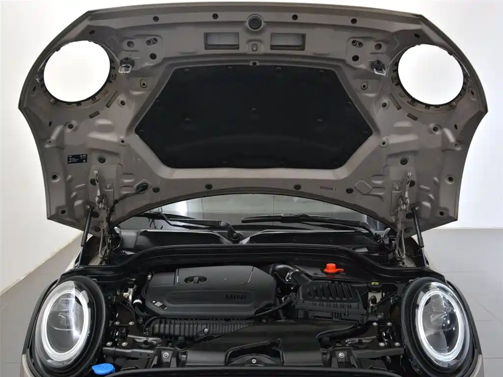 MINI MINI 2021
