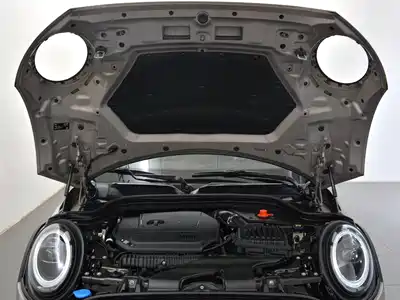 MINI MINI 2021