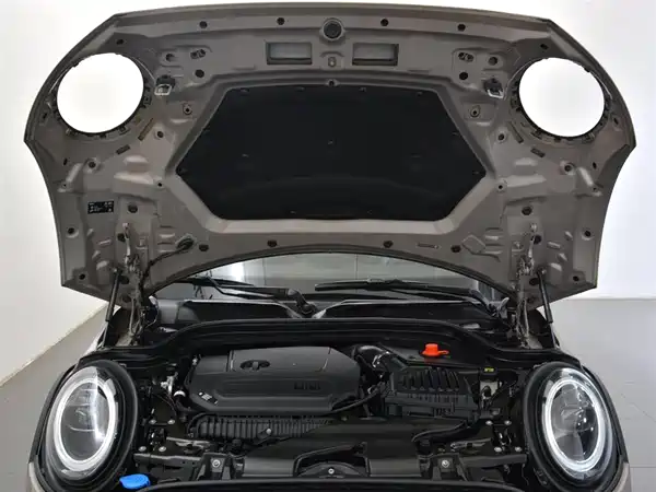 MINI 2021