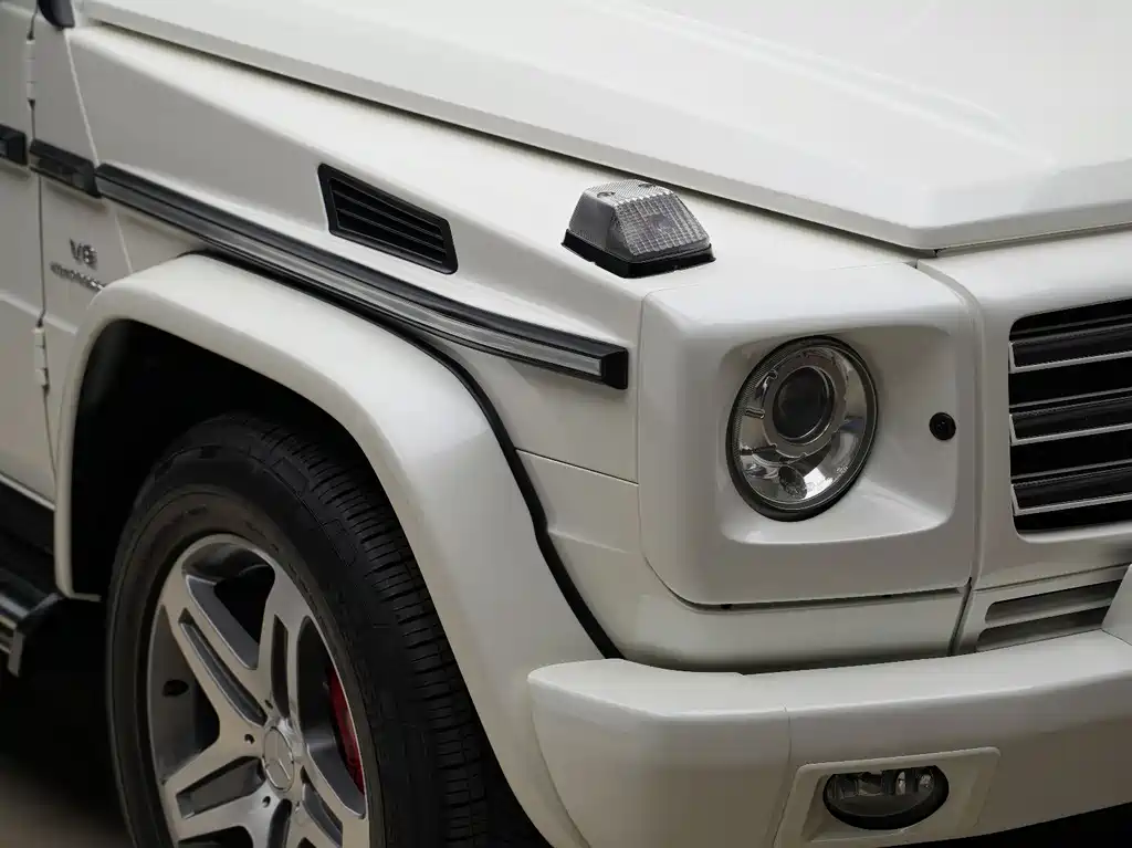Mercedes-Benz G-Class AMG 2010 — фото 4