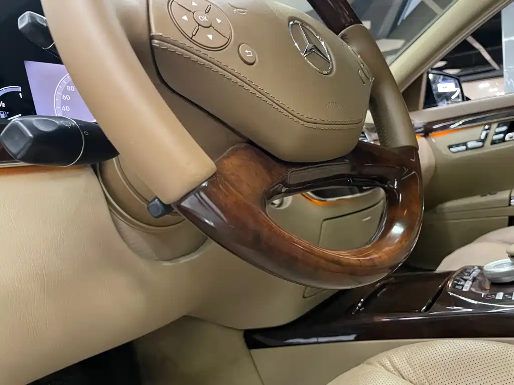 Mercedes-Benz S-Class 2010 — фото 19