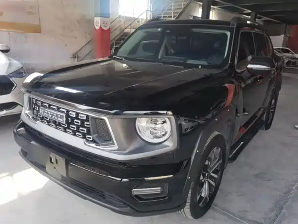Haval Dog PLUS 2024
