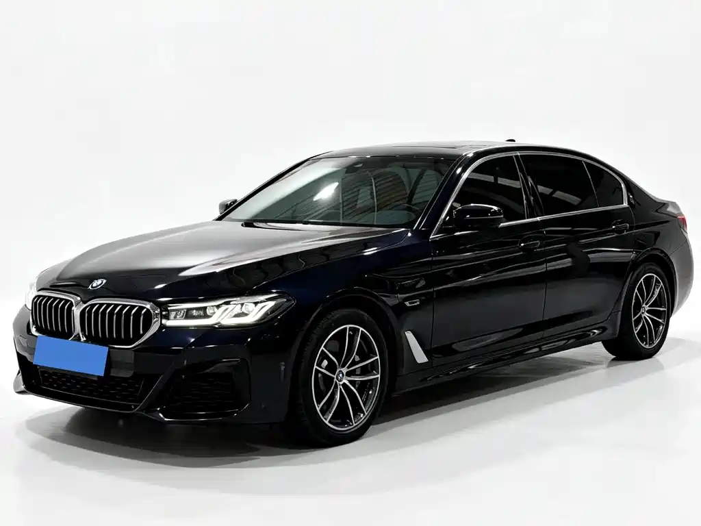 BMW 5 Series New Energy 2021