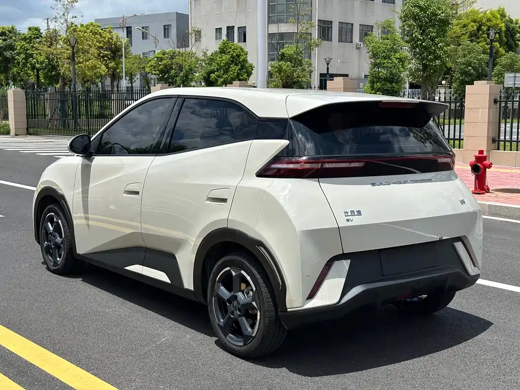 BYD Seagull 2024