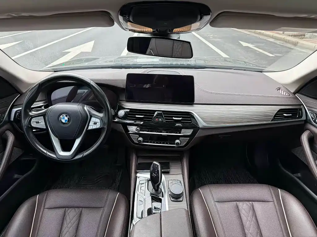 BMW 5 Series New Energy 2021