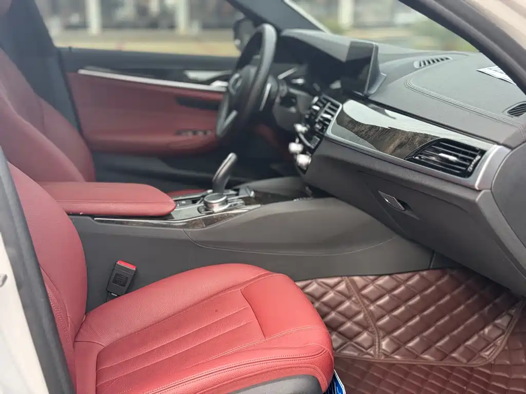 BMW 5 Series 2019 — фото 11