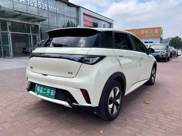 BYD Dolphin 2024