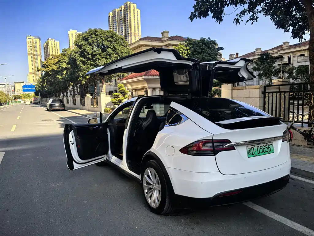 Tesla Model X 2018 — фото 7