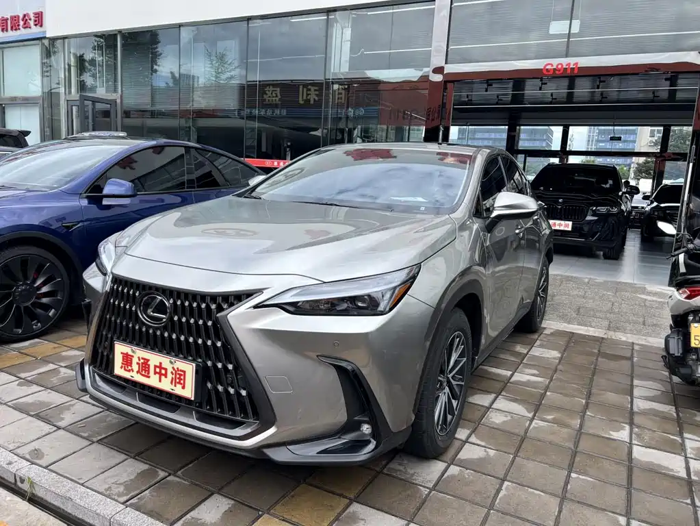 Lexus NX New Energy 2024 — фото 1