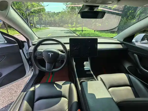 Tesla Model 3 2020