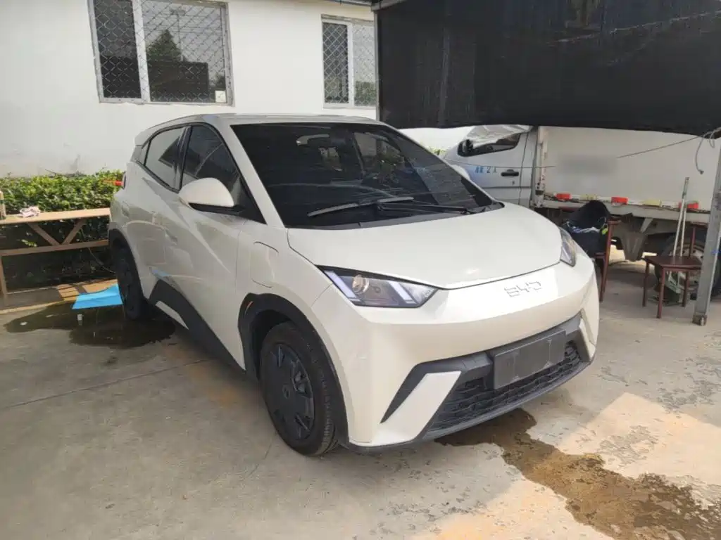 BYD Seagull 2024