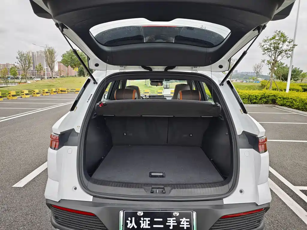 BYD Pro New Energy 2023 — фото 12