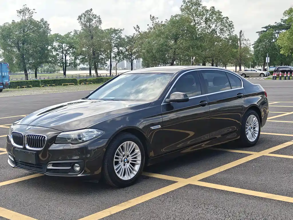 BMW 5 Series 2014 — фото 1