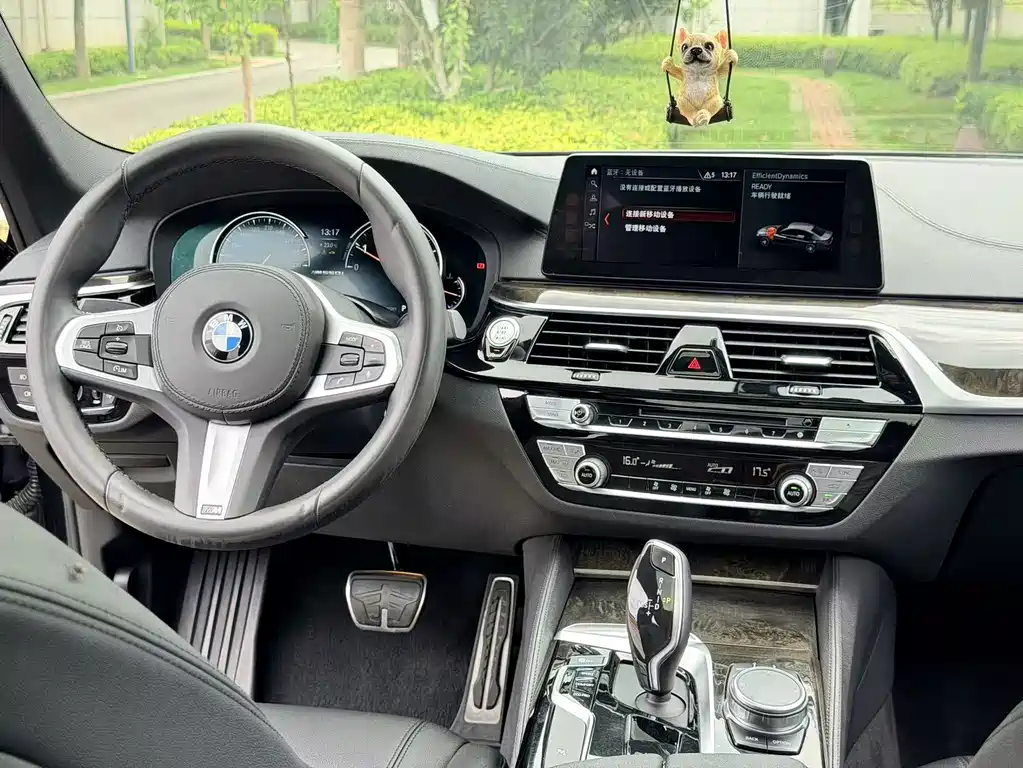 BMW 5 Series 2018 — фото 14