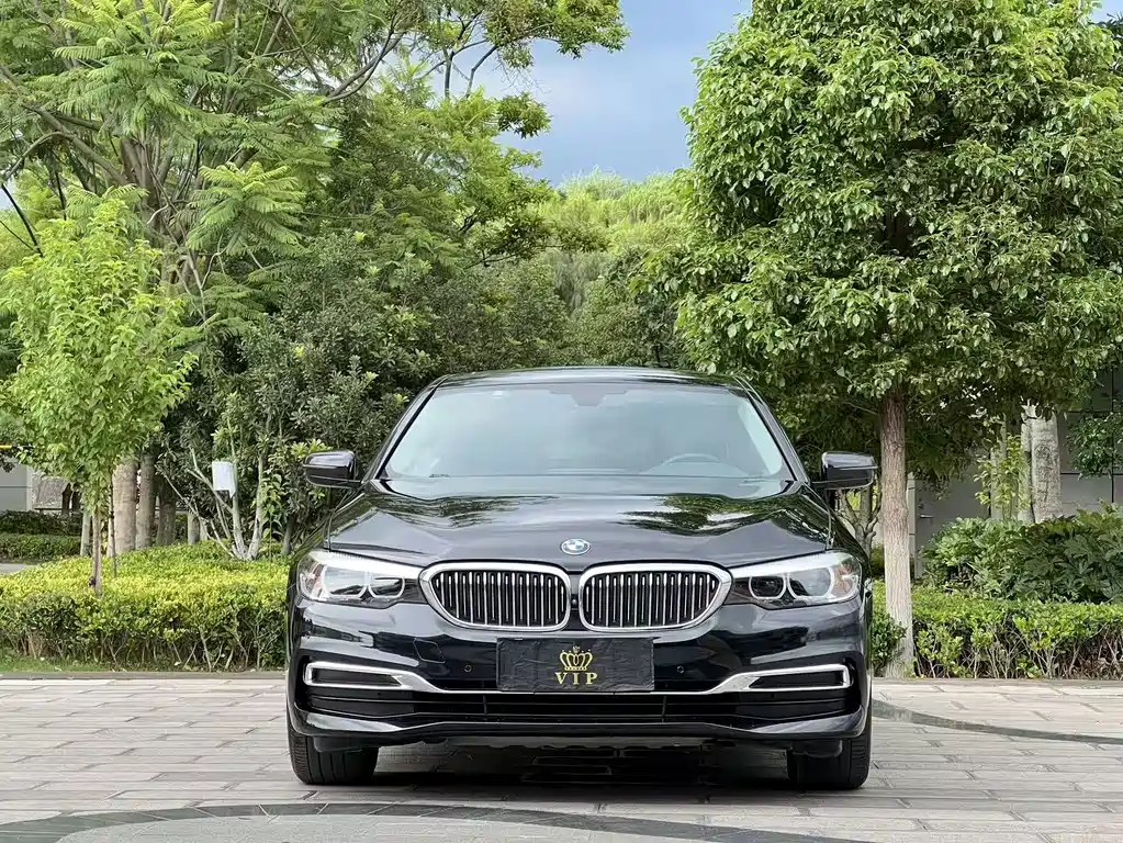 BMW 5 Series 2019