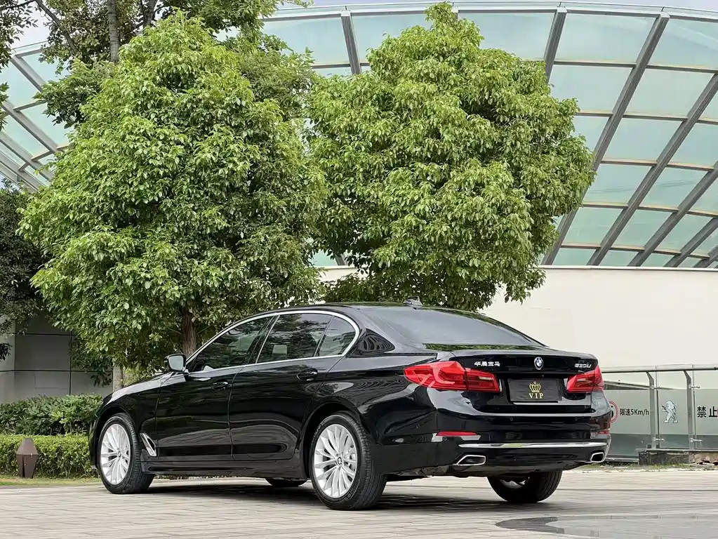 BMW 5 Series 2019