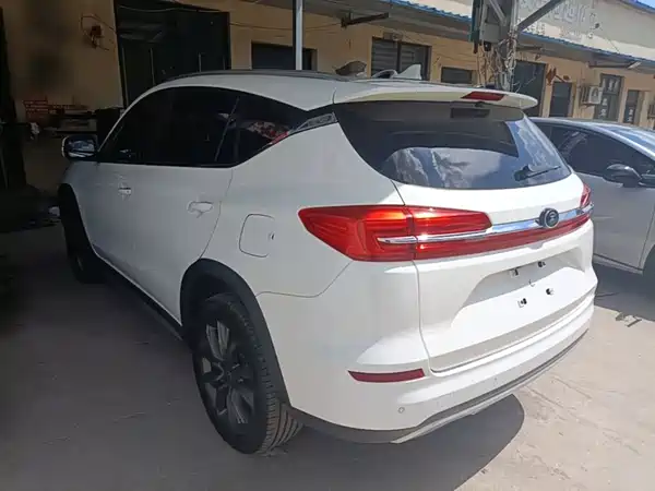 BYD Song New Energy 2019