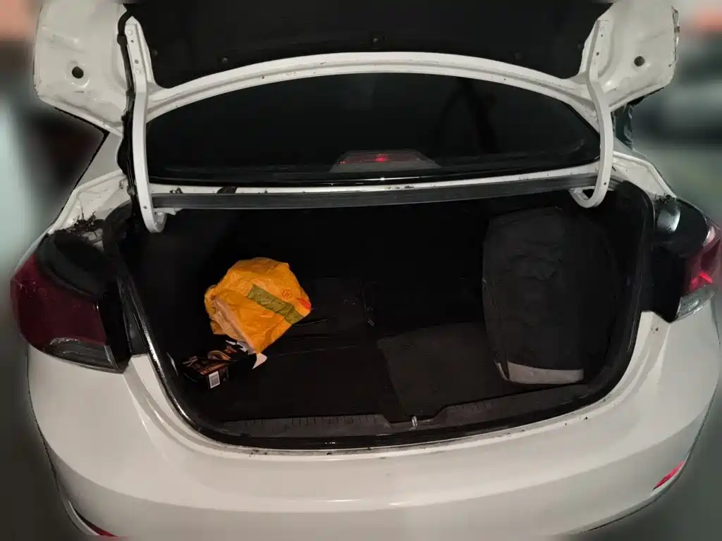 Hyundai Elantra Langdong 2015 — фото 15