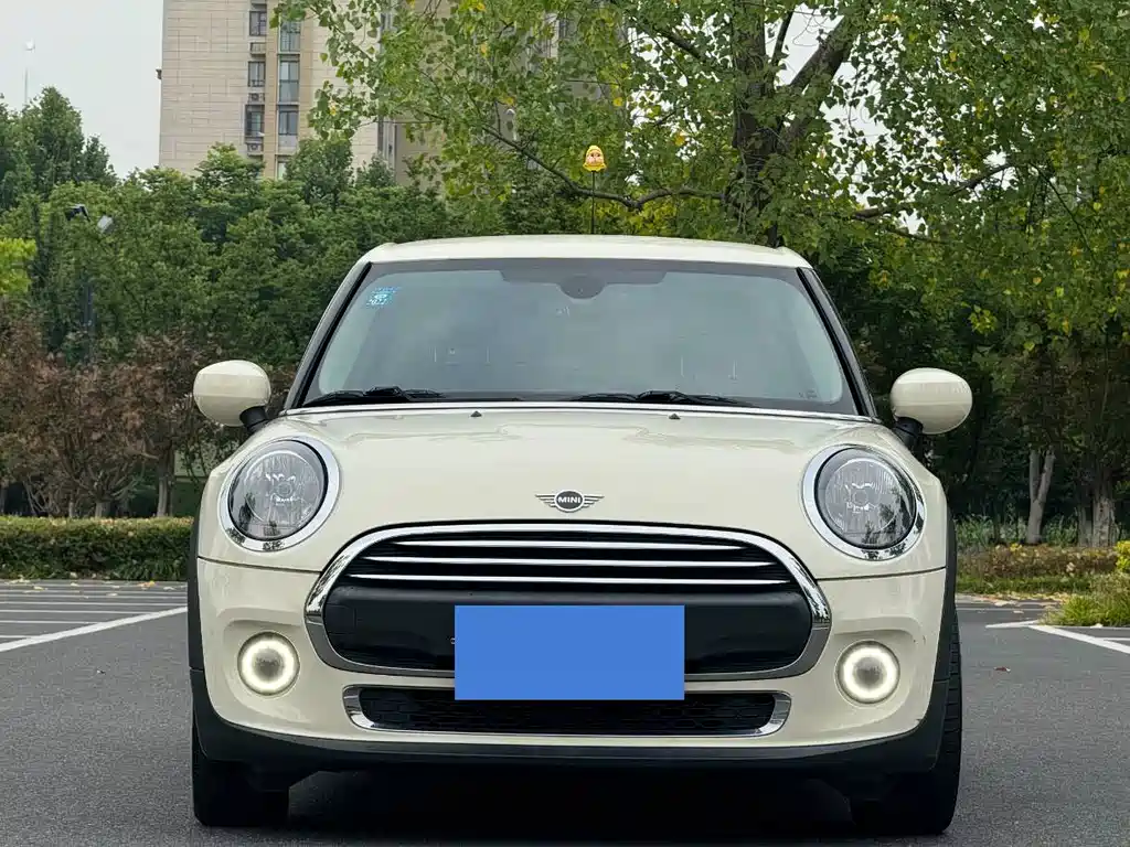 MINI MINI 2020