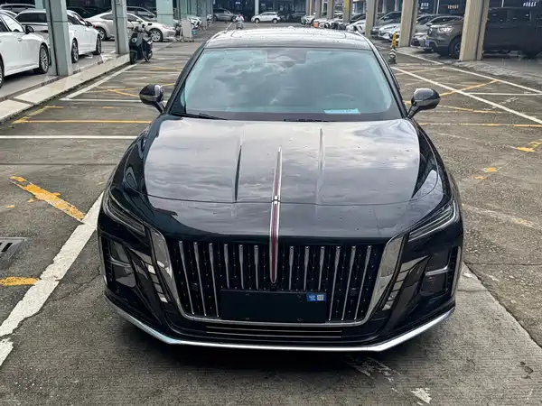 Hongqi H5 2024