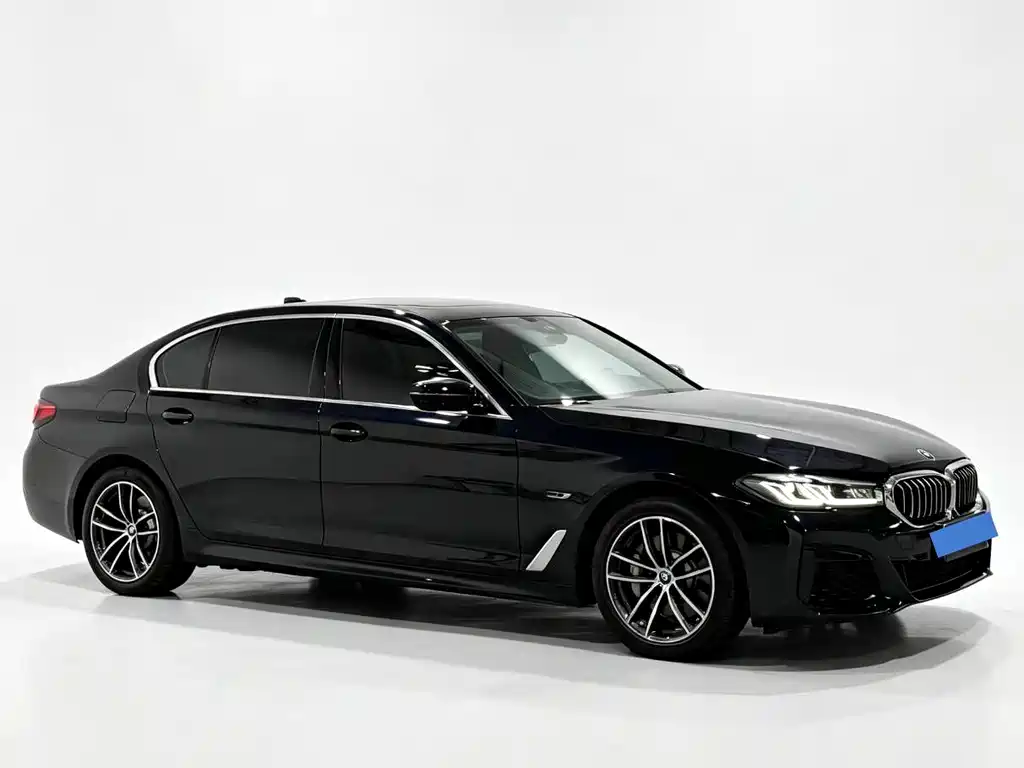 BMW 5 Series New Energy 2021