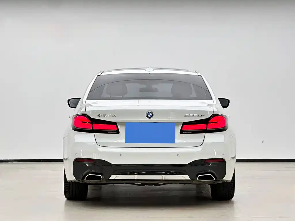BMW 5 Series New Energy 2021
