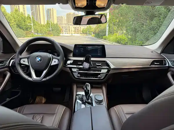 BMW 5 Series New Energy 2020