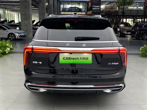 Hongqi E-HS9 2023