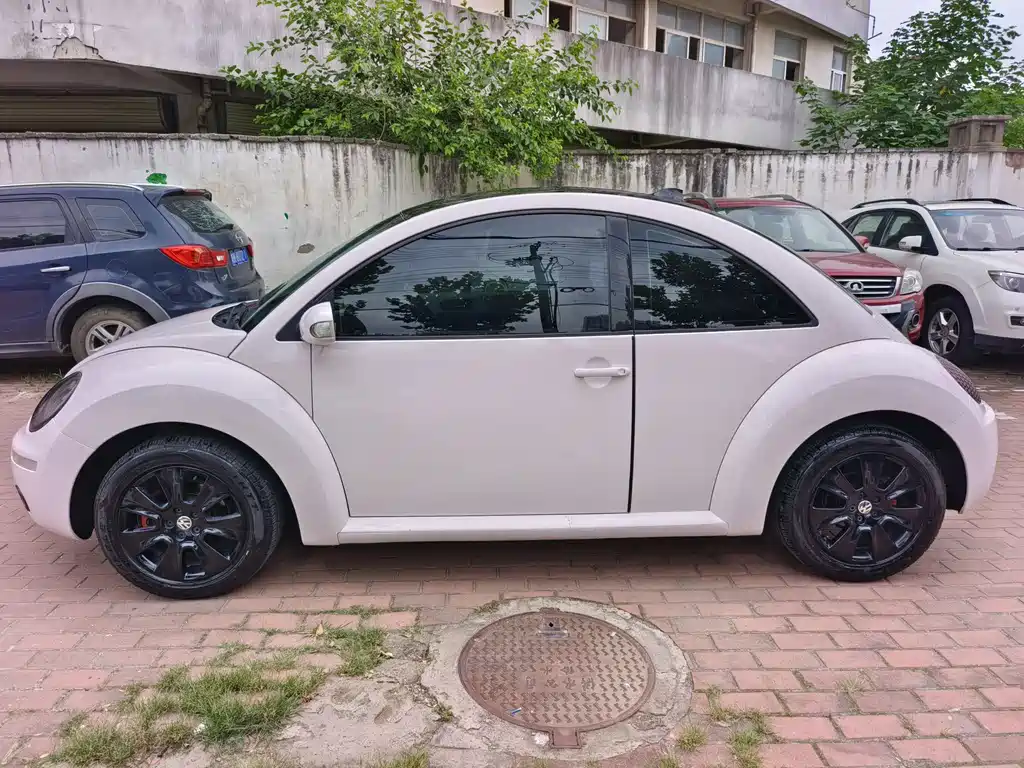Volkswagen Beetle 2010
