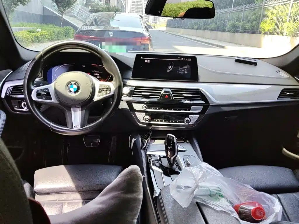 BMW 5 Series 2020 — фото 13