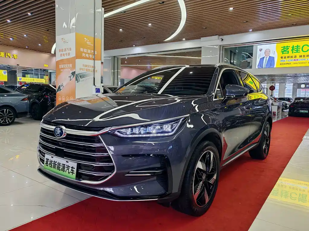 BYD Tang New Energy 2024 — фото 1