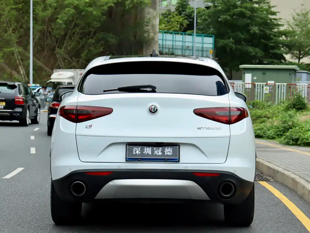 Alfa Romeo Stelvio 2019 — фото 5
