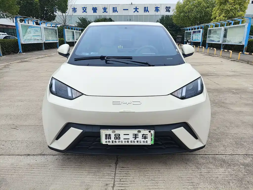 BYD Seagull 2024