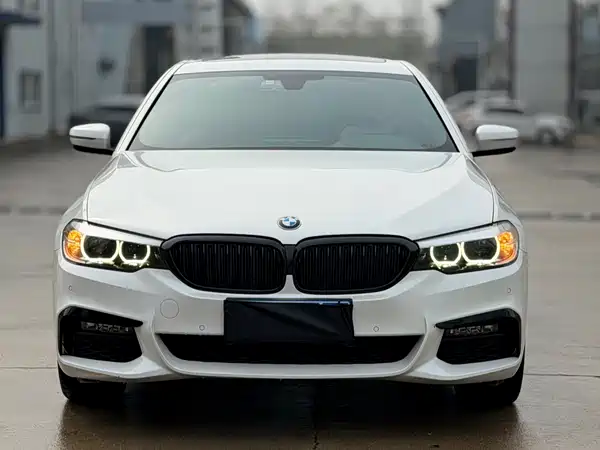 BMW 5 Series 2019