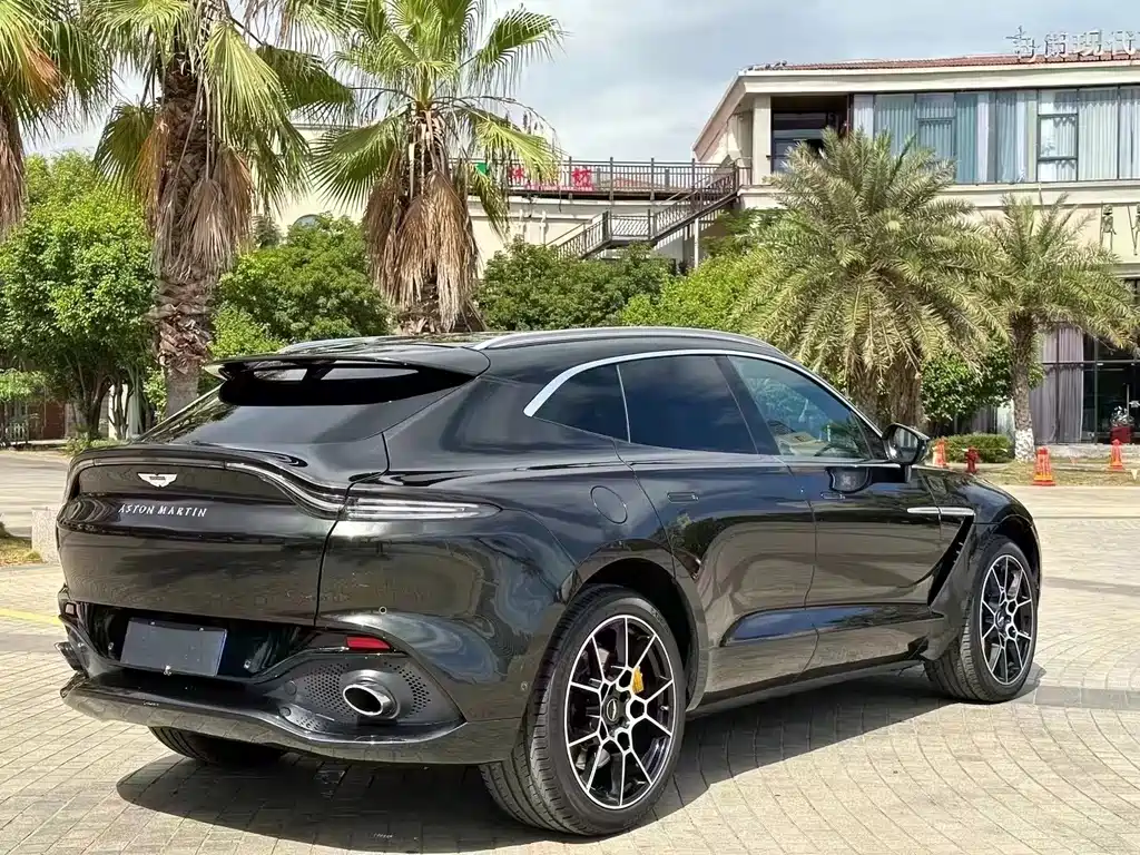 Aston Martin DBX 2022 — фото 4