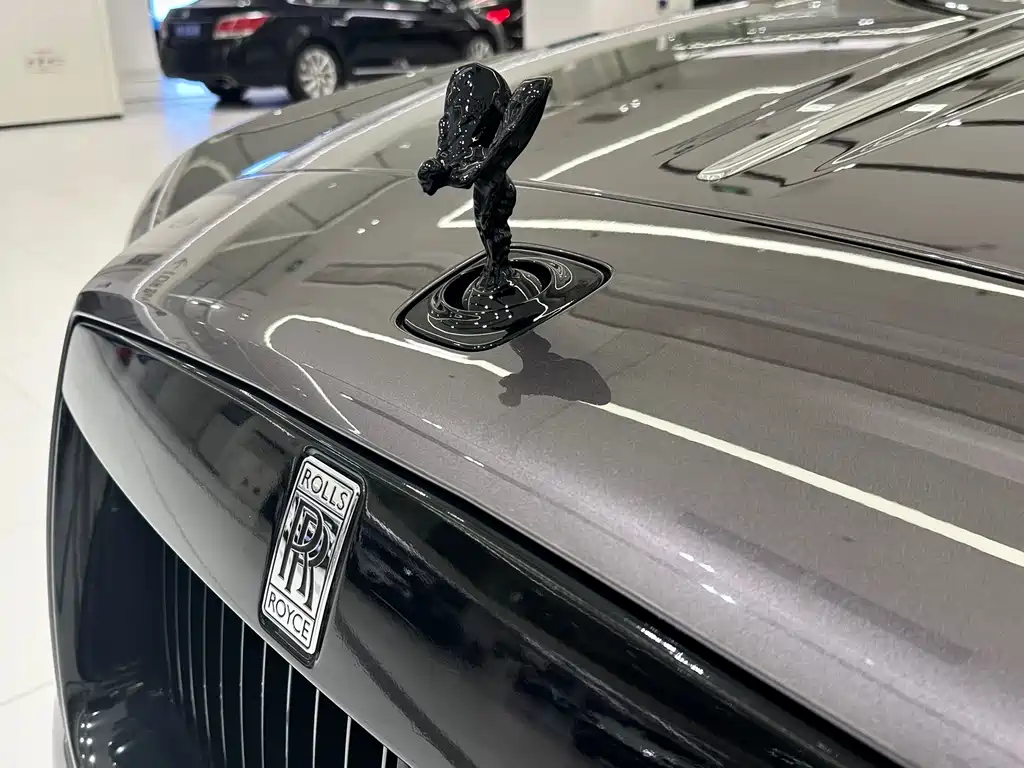 Rolls-Royce Phantom 2018 — фото 9