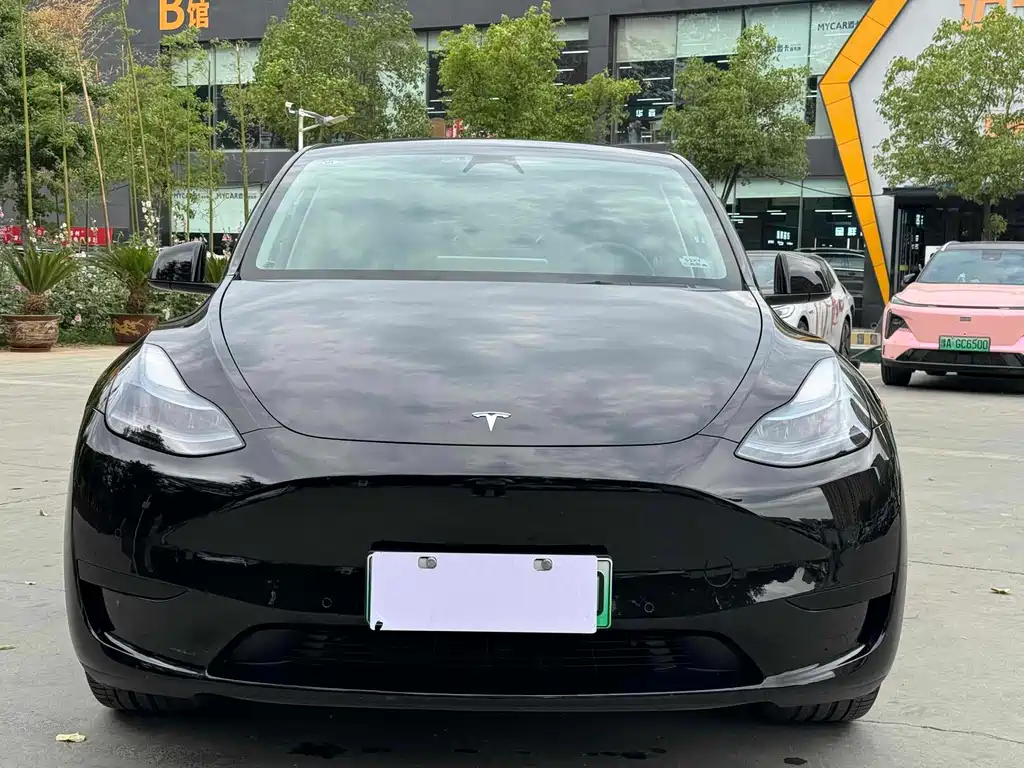Tesla Model Y 2023 — фото 2