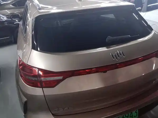WM Motor EX5 2020