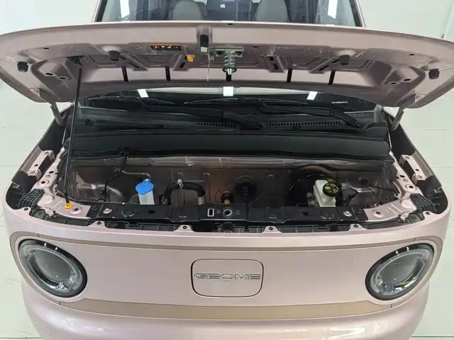 Geely Galaxy Panda 2024 — фото 14