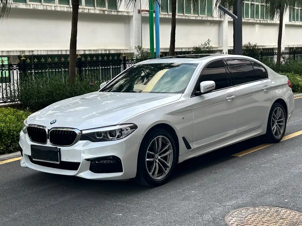 BMW 5 Series 2019