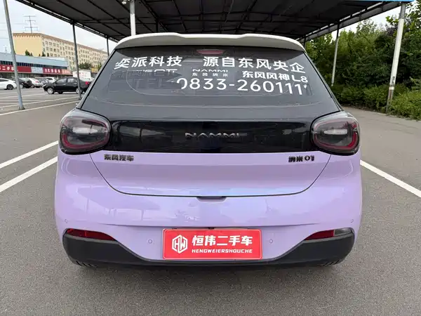 Dongfeng Nano 01 2025