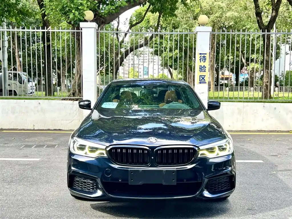 BMW 5 Series 2020