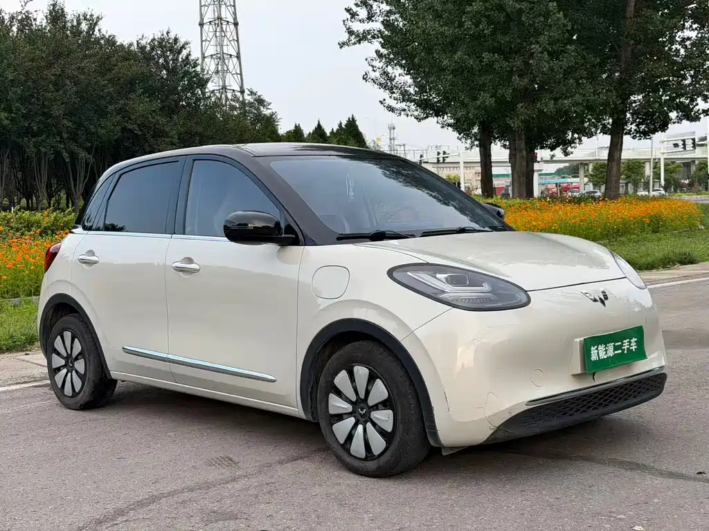 Wuling Bingo 2024