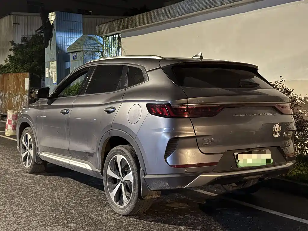 BYD PLUS New Energy 2021 — фото 2