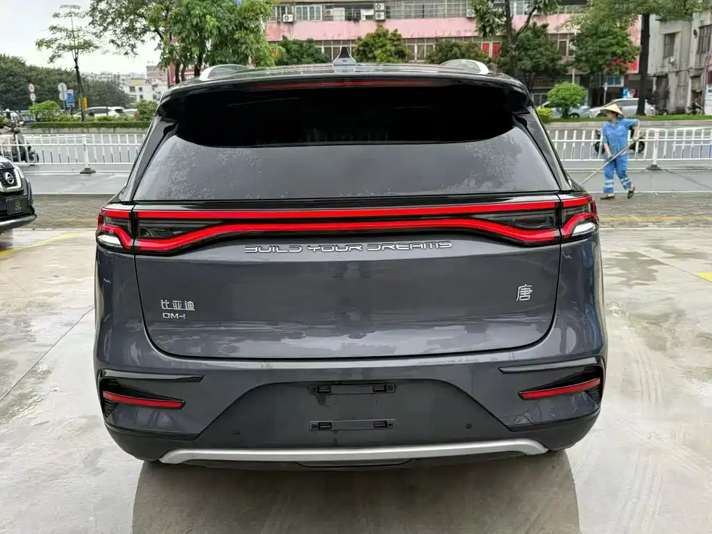 BYD Tang New Energy 2024