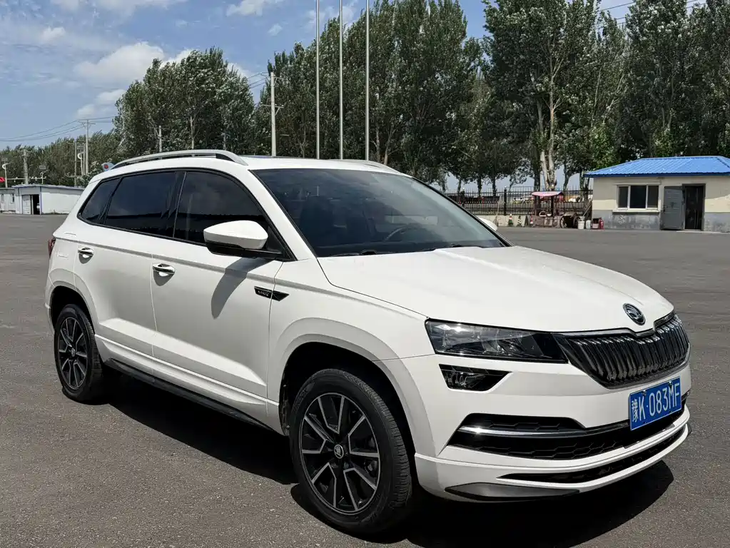 Skoda Karoq 2022 — фото 4