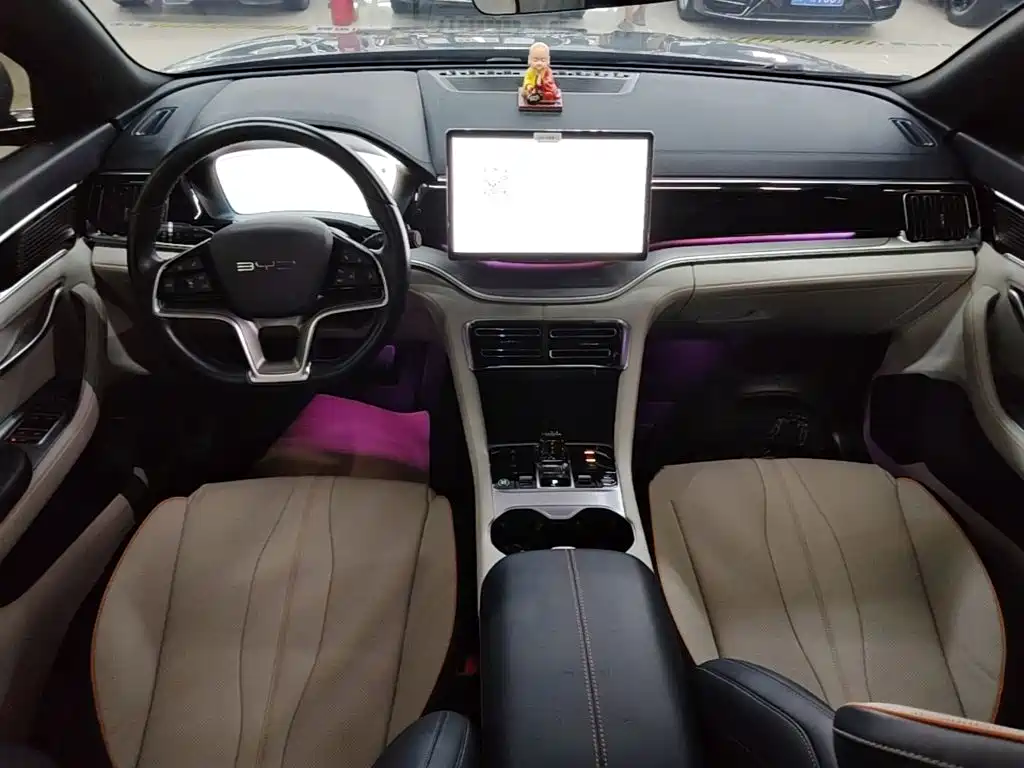 BYD Song PLUS New Energy 2024 — фото 10
