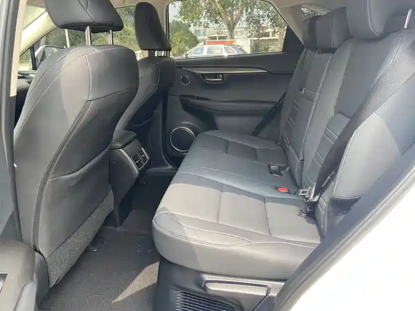 Lexus NX 2020
