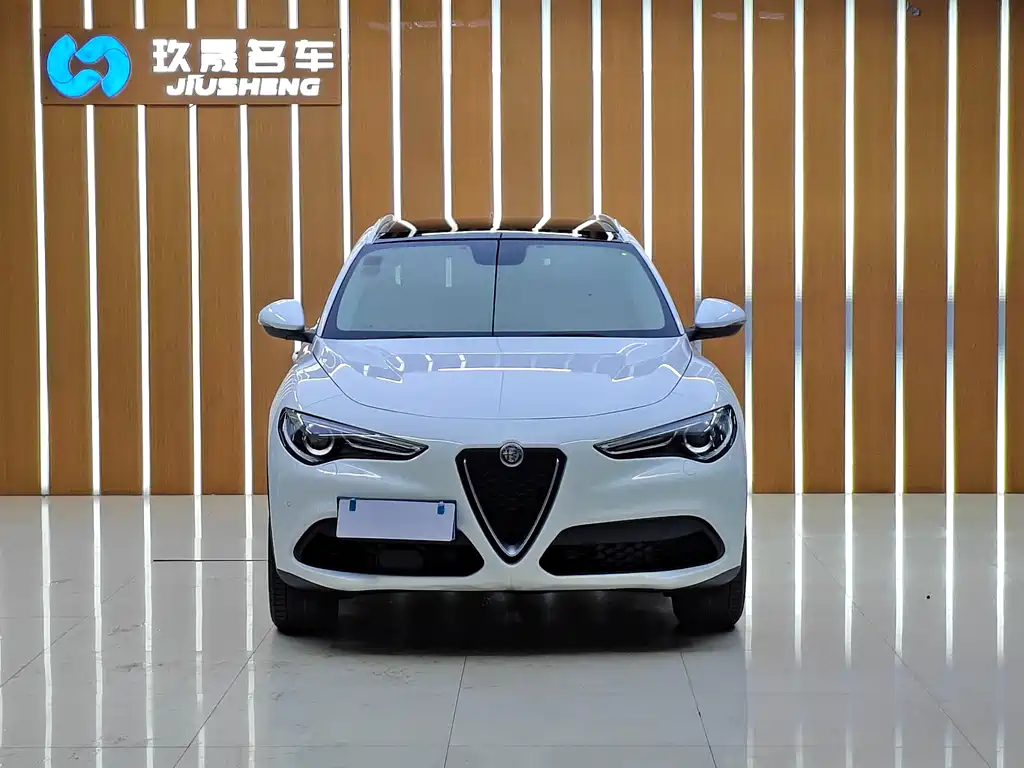 Alfa Romeo Stelvio 2019 — фото 2