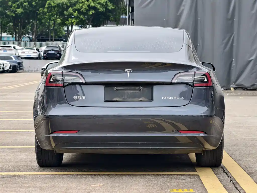 Tesla Model 3 2020 — фото 4